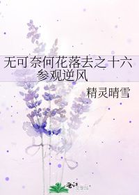 《无可奈何花落去》短剧在线观看，恨我为何要伤我——解读恨我干嘛要碰我（第93集）深度解析短剧在线观看，我恨你干嘛短剧在线观看
