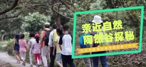 《保洁妈妈》短剧在线观看，掘金人生的探索与挑战短剧在线观看，掘金人生一口气看完系列短剧在线观看