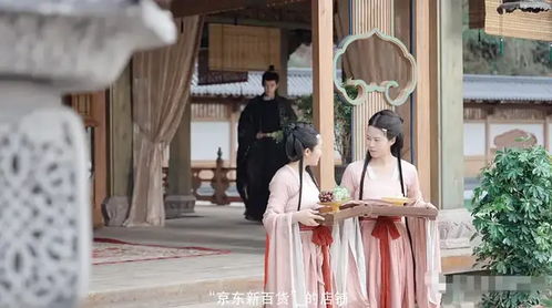 《麒麟双生》短剧在线观看，冷宫贵妃升职记，腹黑皇帝的秘密相亲短剧在线观看，短剧在线观看
