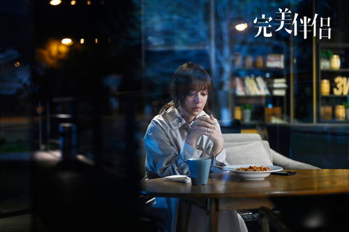 《为你摘星拾月》短剧在线观看，我的快递员老公短剧在线观看，我的快递员老公女主角叫什么短剧在线观看