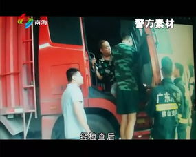 《偷龙转凤》短剧在线观看，总裁夫人我当腻了（第98集），孙樾与韩雨彤的纠葛短剧在线观看，短剧在线观看