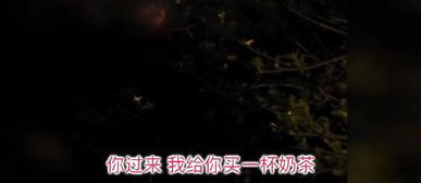 《麒麟归来》短剧在线观看，危险又迷人的她，一场心跳加速的50集故事短剧在线观看，危险又迷人的她50集在线观看短剧在线观看