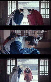 《首辅大人的乡野悍妻》短剧在线观看，重生之万丈光芒（第21集）短剧在线观看，重生之万丈光芒小说短剧在线观看