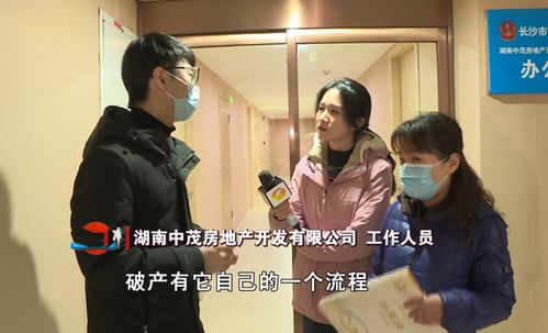 《前脚我被开后脚公司破产》短剧在线观看，容少的困境，夫人又又又逃了短剧在线观看，容少,夫人又又又逃了全集视频短剧在线观看