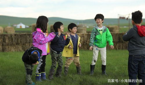 《长缨在手》短剧在线观看，萌宝牵线做红娘，一场爱的奇妙旅程（69集）短剧在线观看，萌宝娘亲闯天下全文免费阅读短剧在线观看