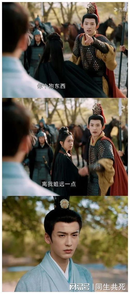 《离婚当天老公拉我备孕》短剧在线观看，千金世无双，一部独特的传奇故事（71集深度解析）短剧在线观看，千金世无双71集短剧在线观看