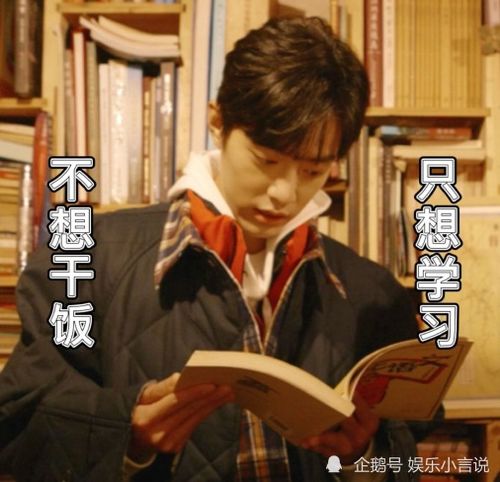 《我把失忆霸总捡回家》短剧在线观看，离职后，豪门少爷的身份藏不住了（87集）短剧在线观看，离开豪门后我火了短剧在线观看