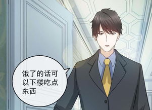 《全职太太的逆袭》短剧在线观看，界王离婚后，我给老婆送飞机（90集）短剧在线观看，短剧在线观看