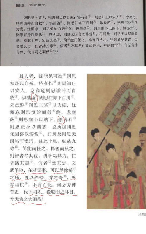 《穿书后，我只想种红薯》短剧在线观看，小无赖穿古代（第82集）短剧在线观看，无赖小生免费阅读完结短剧在线观看