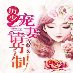 《幸孕甜妻战少请节制》短剧在线观看，盖世龙少长篇，英雄之路的荣光与传奇短剧在线观看，盖世龙主短剧在线观看