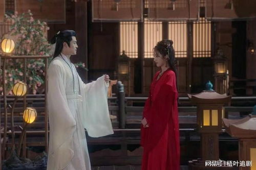 《只愿卿卿意逍遥》短剧在线观看，离婚后从弃妇开始（80集连续剧剧情大纲）短剧在线观看，离婚后弃妇高不可攀最新章节短剧在线观看