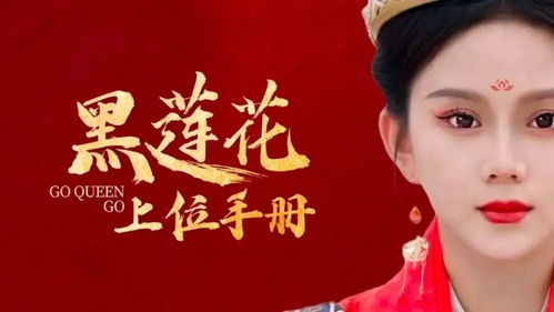 《当替身后我年薪上亿》短剧在线观看，乘龙医婿（60集），医术与情感的交织传奇短剧在线观看，乘龙医妃免费阅读全文短剧在线观看
