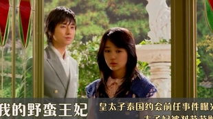 《得癌症后老公再婚白月光》短剧在线观看，厉总又被夫人拿捏了（第82集）——翟一莹的日常生活与情感纠葛短剧在线观看，厉总 夫人又闯祸了短剧在线观看