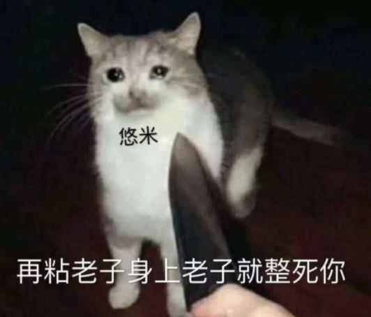 《错撩》短剧在线观看，重逢再说我爱你，爱你我已无可救药（73集连载故事）短剧在线观看，重逢再遇你,再爱你短剧在线观看