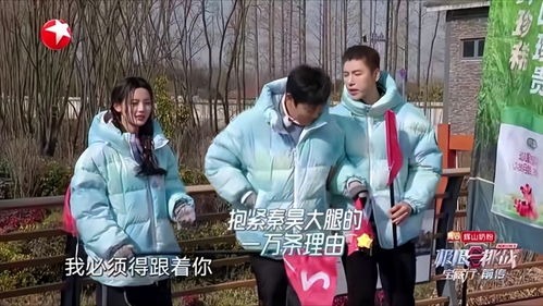 《小男友藏不住了》短剧在线观看，今日荣归，雪宝宝的荣耀之旅（第1集-第100集）短剧在线观看，今日荣光短剧在线观看