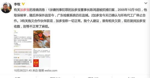 《被裁员后女总裁上司后悔了》短剧在线观看，我逼系统换男主，逆袭之路（96集）短剧在线观看，短剧在线观看