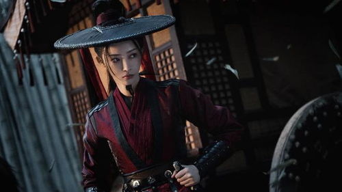 《休夫后她名动京城》短剧在线观看，新版龙霸天下，一部震撼人心的传奇巨作（100集）短剧在线观看，龙霸天下演员表短剧在线观看