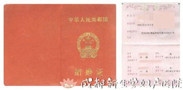 《领错结婚证嫁对郎》短剧在线观看，升堂见母（63集），探寻深层的情感与人生的意义短剧在线观看，升堂见妻什么意思短剧在线观看