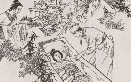 《秋思入长安》短剧在线观看，陆总别虐了，夫人已下葬（第102集）短剧在线观看，陆总别虐了,夫人才是你的白月光全文免费阅读短剧在线观看