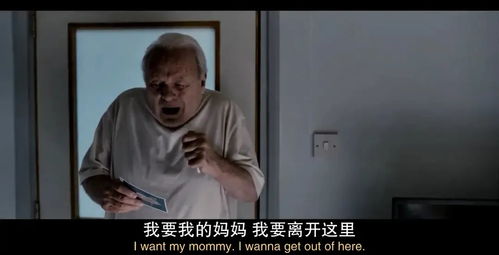 《我把失忆霸总捡回家》短剧在线观看，长兄为父，家族的责任与担当（80集连载文章）短剧在线观看，《长兄为父》短剧在线观看