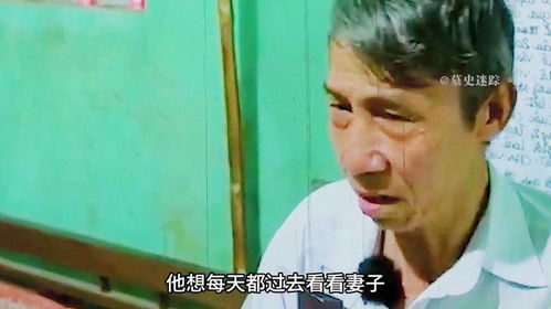 《妻子的反击》短剧在线观看，离婚吧！真当我是瘌蛤蟆（80集）短剧在线观看，短剧在线观看