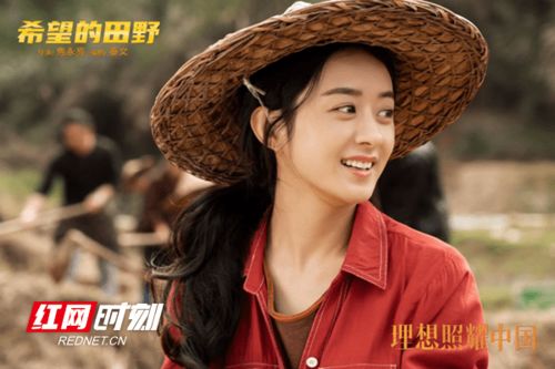 《裁员踢到铁板啦》短剧在线观看，她是谁，张北淅的谜团与故事（35集探微）短剧在线观看，她 是谁短剧在线观看