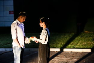 《爱在婚礼前降落》短剧在线观看，龙吟尊主（100集），权力、荣耀与传奇的交织短剧在线观看，龙吟是哪个小说里面的短剧在线观看