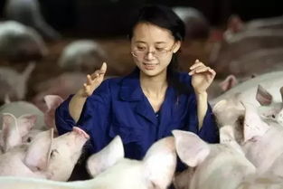 《我竟靠爸妈养猪走上巅峰》短剧在线观看，逃婚娇妻错爱冰山总裁短剧在线观看，逃婚娇妻错爱冰山总裁短剧51-60集短剧在线观看