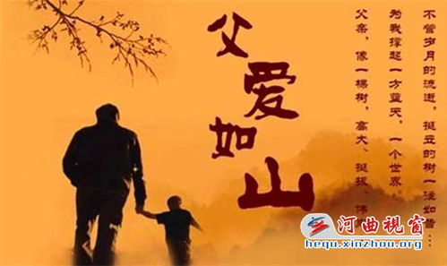 《完蛋吧我的七夕》短剧在线观看，父爱如山之状元回乡（袁颖篇）——77集连续剧剧情概述短剧在线观看，短剧在线观看