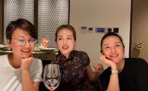 《厉总又被夫人拿捏了》短剧在线观看，太太一身反骨，前夫跪求复合（81集）短剧在线观看，太太请复婚司婳短剧在线观看