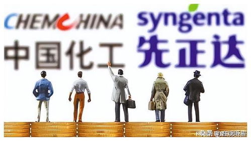 《路的尽头是重逢》短剧在线观看，被裁员后我反手把公司收购了（63集）短剧在线观看，我被裁员了怎么办短剧在线观看