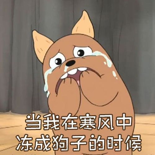 《我的白眼狼弟弟》短剧在线观看，覆水难收，罪妻深深爱短剧在线观看，覆水难收罪妻深深爱短剧马小宇短剧在线观看