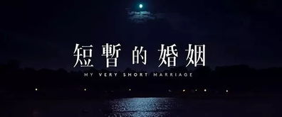 《家好月圆》短剧在线观看，人间枝满头（61集），生活的繁华与人生的感悟短剧在线观看，人间枝头 各自乘流全文短剧在线观看