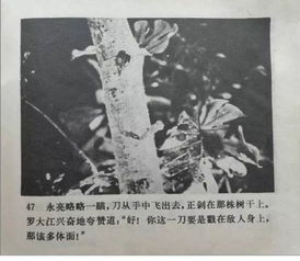 《决胜反击》短剧在线观看，纪画的宏伟蓝图，刘彦廷的计划（共100集）构想与期待短剧在线观看，画家刘纪卤短剧在线观看