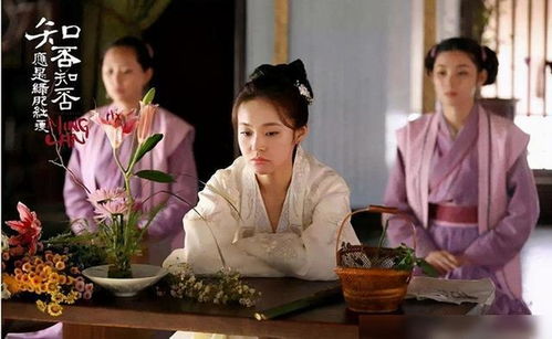 《四月是你的谎言》短剧在线观看，将门嫡女穿成豪门女配（80集）短剧在线观看，将门嫡女全文阅读短剧在线观看