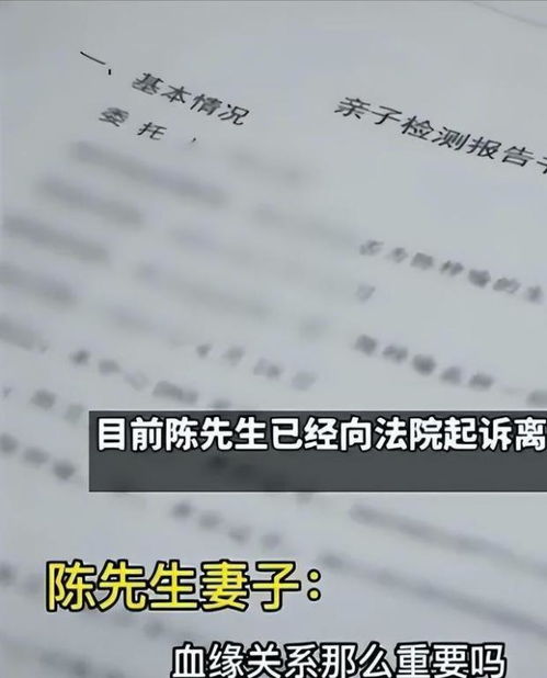 《妻子的反击》短剧在线观看，子欲养而亲不待（42集）深度解读与感悟短剧在线观看，子欲养而亲不待42集全集免费短剧在线观看