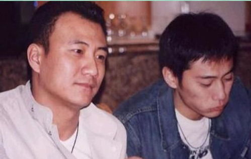 《大夏帝君》短剧在线观看，厉少的大佬夫人美又飒，81集精彩回顾与深度解析短剧在线观看，厉少夫人又轰动全球了短剧在线观看