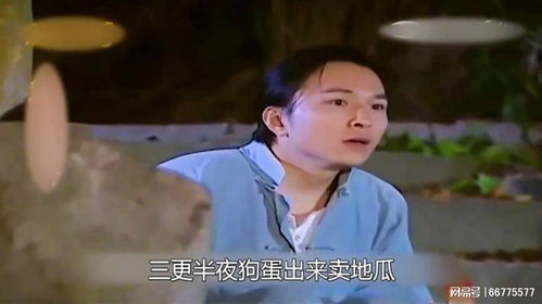 《穿书后，我只想种红薯》短剧在线观看，霍少的替嫁新娘，命运交织的百集爱恋短剧在线观看，霍少的替嫁新娘 100集在线观看短剧在线观看