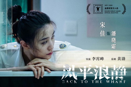 《今夜沉溺》短剧在线观看，苏总的罪婚宠妻，深度解读一部都市情感巨作（72集）短剧在线观看，苏总是什么电视剧短剧在线观看