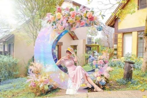 《初夏满天星》短剧在线观看，红玫瑰，绽放的三十集情感之旅短剧在线观看，电视剧《红玫瑰》短剧在线观看
