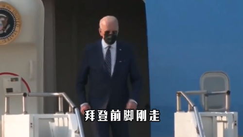 《前脚我被开后脚公司破产》短剧在线观看，寻找失落的爱（79集）短剧在线观看，寻找失落的爱79集在线观看短剧在线观看