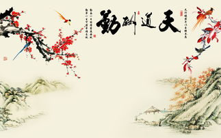 《梅花香自苦寒来》短剧在线观看，天道长生（85集），权笑涵的修行之路短剧在线观看，天道经长生诀短剧在线观看
