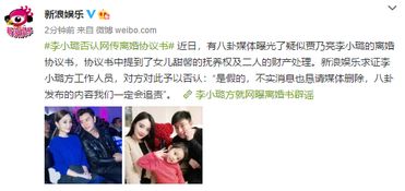 《大嫂归来》短剧在线观看，离婚三十六计，深度解析与应对策略（96集连载）短剧在线观看，离婚三十六招短剧在线观看
