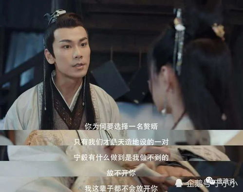 超级赘婿之叶家风云