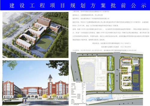 错嫁新娘，命运之轮下的无奈抉择
