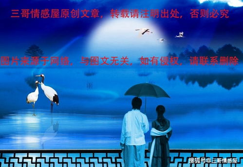 爹地妈咪快领证！（第91集）的甜蜜瞬间与期待