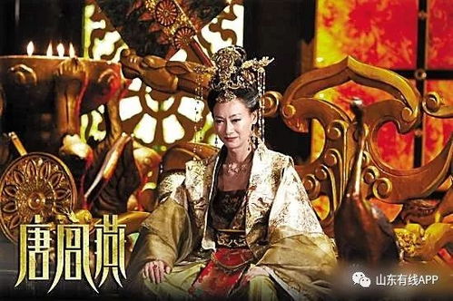 毒妃不好惹，宫廷权谋中的女战士
