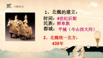 妙手乡医，医术与情感的交融