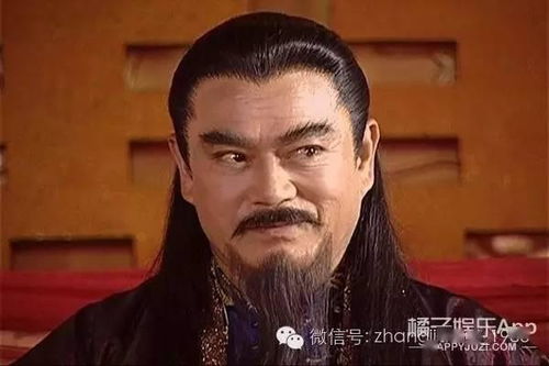 雄爸风云，一位传奇父亲的力量与智慧