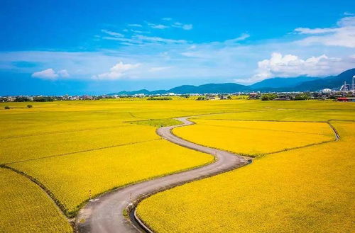 极品小神农，乡村的崛起与智慧农业的创新